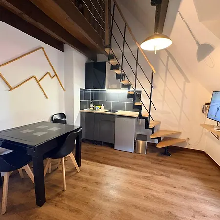 Reve Divin T3 Avec Parking-barbecue-laverie-bagagerie-salle De Sport-aire De Jeux-climatise Lourdes