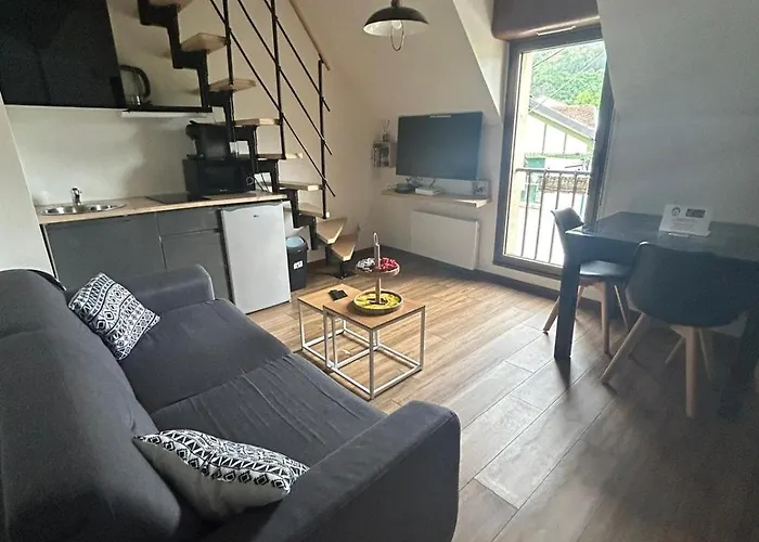 Reve Divin T4 Avec Parking-barbecue-laverie-bagagerie-salle De Sport-aire De Jeux-climatisé Lourdes