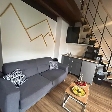 Reve Divin T4 Avec Parking-barbecue-laverie-bagagerie-salle De Sport-aire De Jeux-climatise Apartment Lourdes
